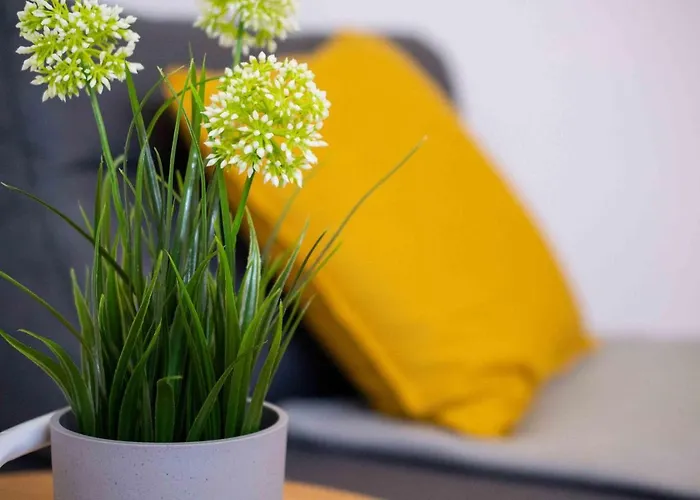 Modernes In Wuppertal-elberfeld *